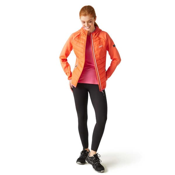 Regatta Andreson Viii Jakke Orange 8 Kvinde