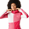Miniatyrbillede 6 af 10: Regatta Walbury Vii Fleece Rosa 18 Kvinde
