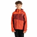 Miniatyrbillede 1 af 9: Dare2b Explore Ii Jakke Orange 5-6 Years Dreng