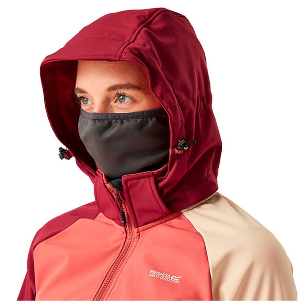 Regatta Desoto X Softshelljakke 10 Kvinde