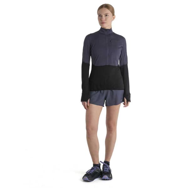 Icebreaker Merino 200 Realfleece Descender Fleece Med Halv Dragkedja Grå L Kvinna