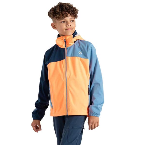 Dare2b Cheer Softshelljakke Orange,Blå 3-4 Years Dreng