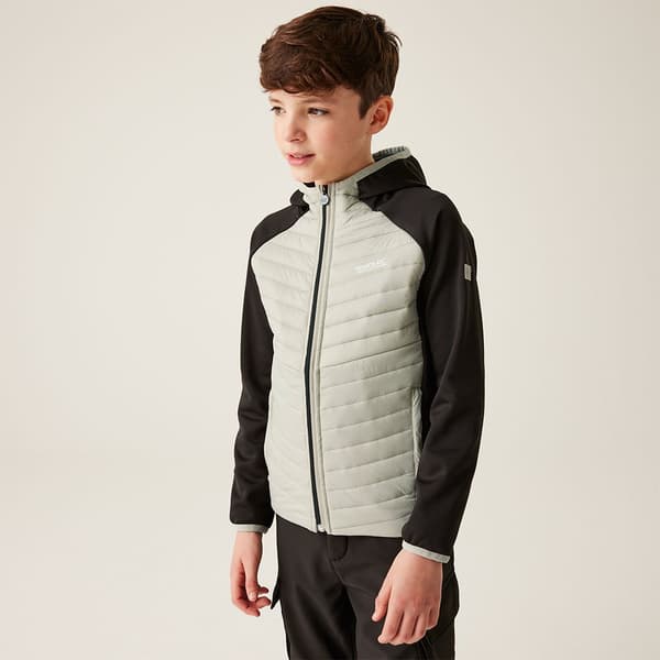 Regatta Kielder Hybrid Viii Jacka Beige,Svart 9-10 Years Pojke