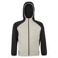 Miniatyrbillede 3 af 7: Regatta Kielder Hybrid Viii Jakke Beige,Sort 11-12 Years Dreng