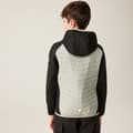 Miniatyrbillede 2 af 7: Regatta Kielder Hybrid Viii Jakke Beige,Sort 11-12 Years Dreng