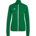 Pikkukuva 3 / 7: Adidas Entrada 22 Takki Vihreä XL / Regular Nainen
