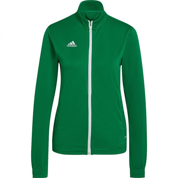 Adidas Entrada 22 Takki Vihreä XL / Regular Nainen