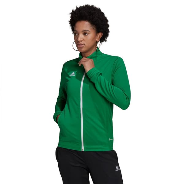 Adidas Entrada 22 Takki Vihreä XL / Regular Nainen