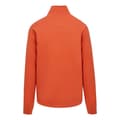 Miniatyrbillede 4 af 8: Regatta Agilno Fleece Orange 3XL Mand