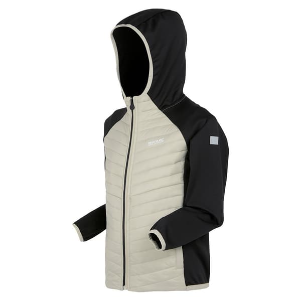 Regatta Kielder Hybrid Viii Jacka Beige,Svart 15-16 Years Pojke
