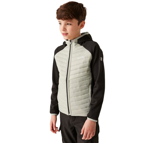 Regatta Kielder Hybrid Viii Jacka Beige,Svart 15-16 Years Pojke