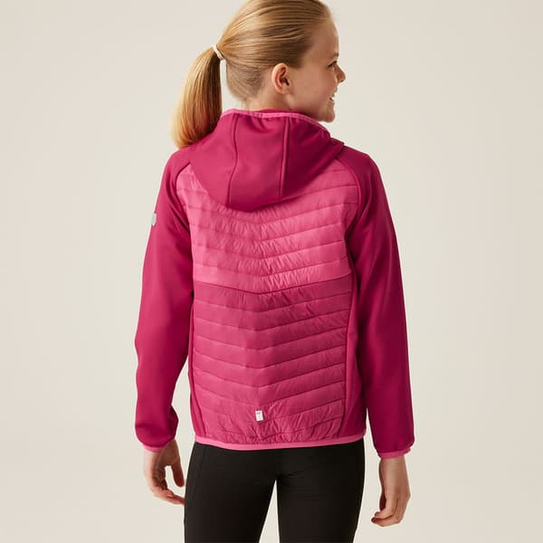 Regatta Kielder Hybrid Viii Jakke Rosa 11-12 Years Dreng
