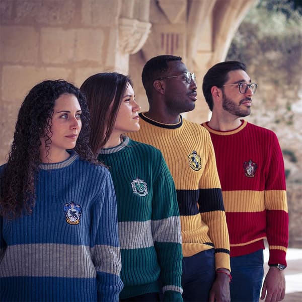 Cerda Group Harry Potter Neulepaita Keltainen XS