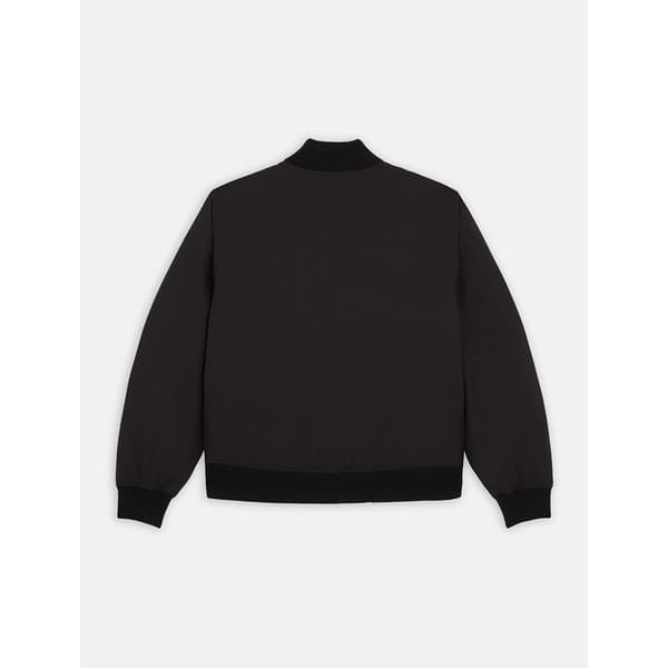 Dickies Plains Bomberjacka Svart L Man