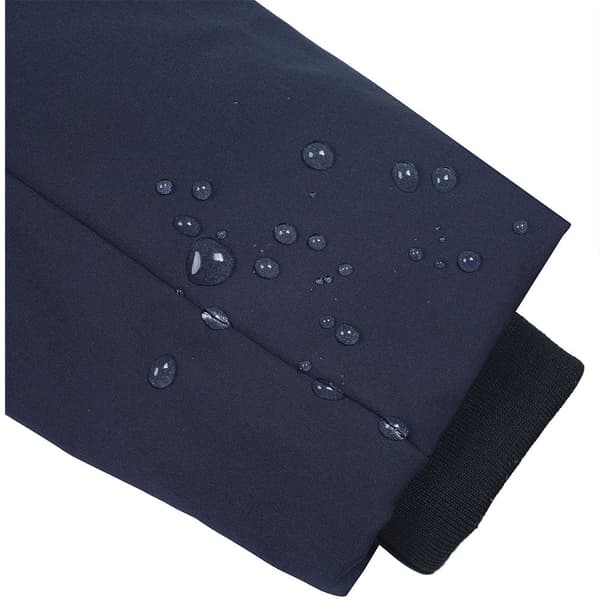 Icepeak Albee Softshelljakke Blå 42 Kvinde