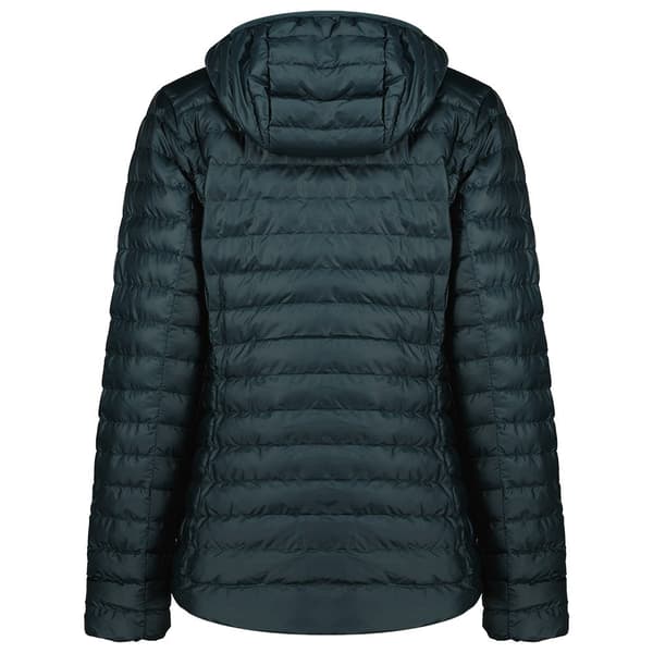 Montane Icarus Jacka Grönt L Kvinna
