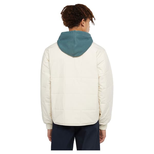 Dickies Gardiner Liner Jacka Vit XS Man