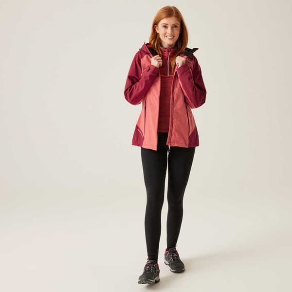 Regatta Birchdale Jakke Rød,Rosa 8 Kvinde