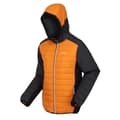 Miniatyrbillede 3 af 4: Regatta Trutton Ii Jakke Orange S Mand