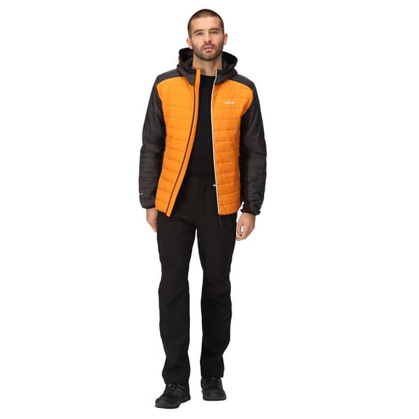 Regatta Trutton Ii Jakke Orange S Mand