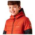 Miniatyrbillede 6 af 7: Regatta Lofthouse Viii Jakke Orange 3-4 Years Dreng