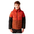 Miniatyrbillede 1 af 7: Regatta Lofthouse Viii Jakke Orange 3-4 Years Dreng