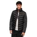 Miniatyrbild 1 av 7: Superdry Storm Hybrid Padded Jacka Svart XL Man