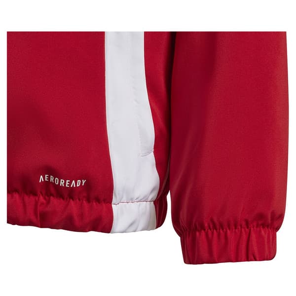 Adidas Tiro24 Windbreaker Jacka Röd 5-6 Years Pojke
