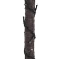 Miniatyrbild 8 av 11: The Living Store Palmträd med LED varmvit 88 LEDs 150 cm -  Julgranar
