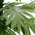 Miniatyrbild 6 av 11: Julgranar - Living Palmträd med LED varmvit 252 LEDs 400 cm
