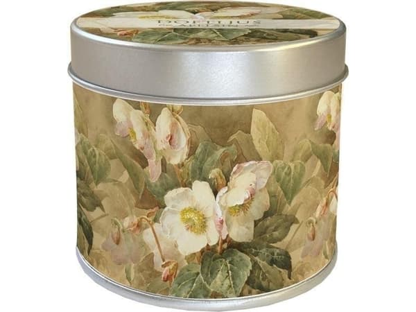 Skona Ting Duftlys 203 - hellebore epleduft