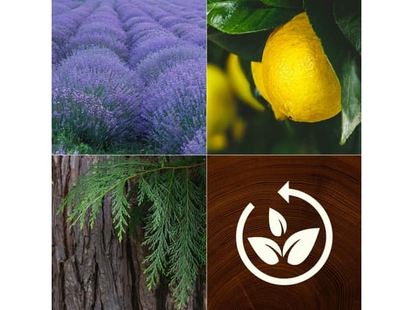 Yankee Candle Lavender & Cypress, Cylinder, Brun, Fräsch, 1 styck