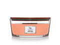 Pikkukuva 1 / 3: WoodWick Manuka Nectar, Ellipse, Orange, Fruity, 40 h, 1 pc(s)