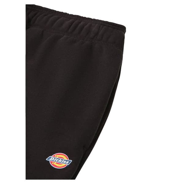 Dickies Joggare Mapleton Svart XS Man