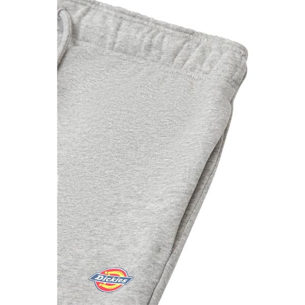 Dickies Joggere Mapleton Grå L Mand