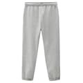 Miniatyrbillede 2 af 4: Dickies Joggere Mapleton Grå L Mand