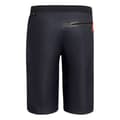 Miniatyrbillede 2 af 2: Salewa Shorts Bukser Puez Powertex Blå XL Mand