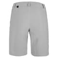Pikkukuva 2 / 2: Salewa Shortsit Housut Isea Dryton Harmaa XS Nainen