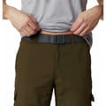 Miniatyrbillede 4 af 5: Columbia Shorts Silver Ridge Ii Cargo Brun 30 / 12 Mand