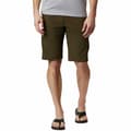Miniatyrbillede 1 af 5: Columbia Shorts Silver Ridge Ii Cargo Brun 30 / 12 Mand