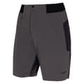 Miniatyrbillede 3 af 6: Trangoworld Hornavan Shorts Grå L Mand