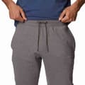 Miniatyrbillede 4 af 5: Columbia Bukser Logo™ Jogger Ii Grå 44 / 32 Mand