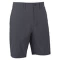 Miniatyrbillede 1 af 2: Ternua Shorts Siburu Grå L Mand