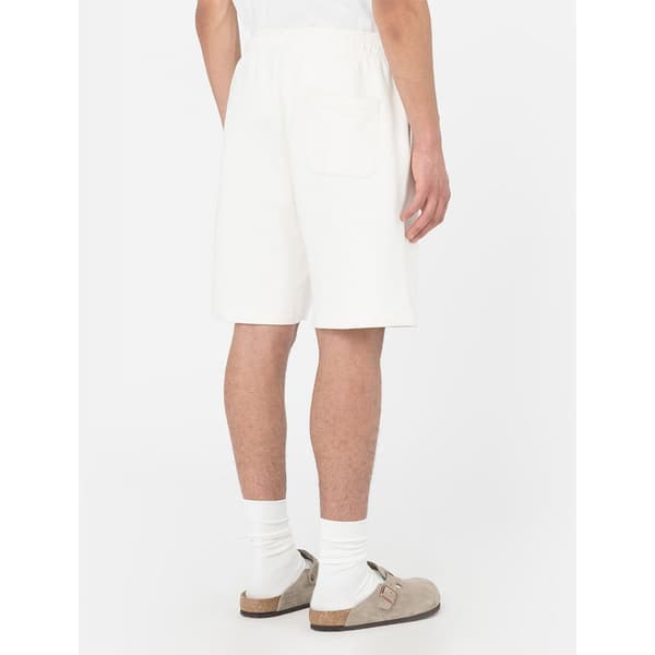 Dickies Shortsit Mapleton Beige L Mies