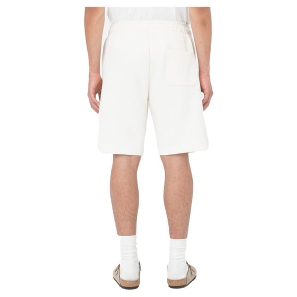 Dickies Shortsit Mapleton Beige L Mies