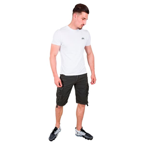 Alpha Industries Jet Cargo Shorts Grå 33 Mand