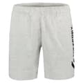 Pikkukuva 1 / 3: Superdry Shortsit Code Sl Applique Boy Harmaa L Nainen