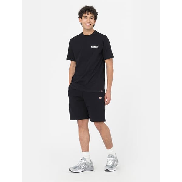 Dickies Shorts Mapleton Grå S Man