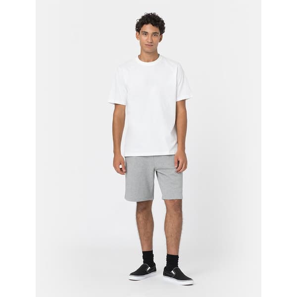 Dickies Shorts Mapleton Grå L Man