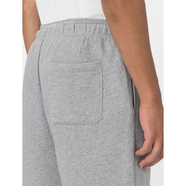 Dickies Shorts Mapleton Grå L Man